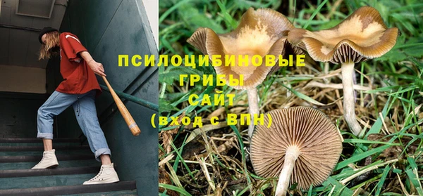 кокс Переславль-Залесский