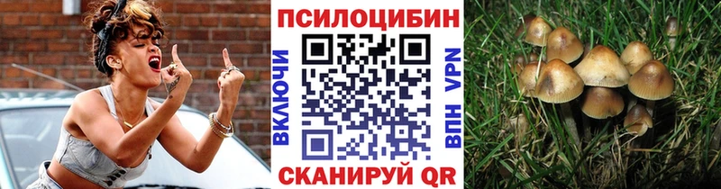 наркотики  Тосно  Галлюциногенные грибы прущие грибы 